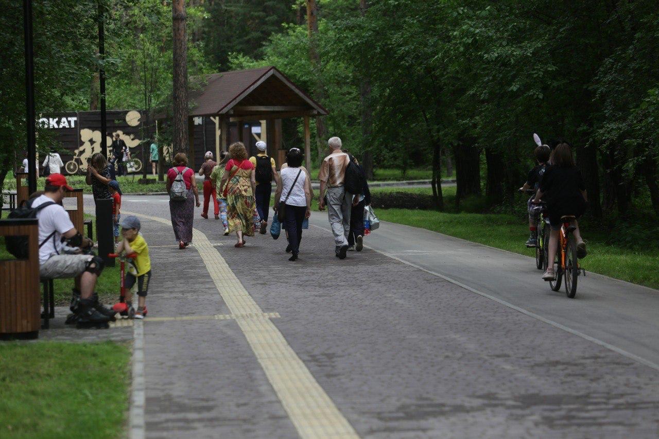 Фото Мэр Новосибирска рассказал о развитии Заельцовского парка и призвал горожан голосовать за объекты благоустройства 3